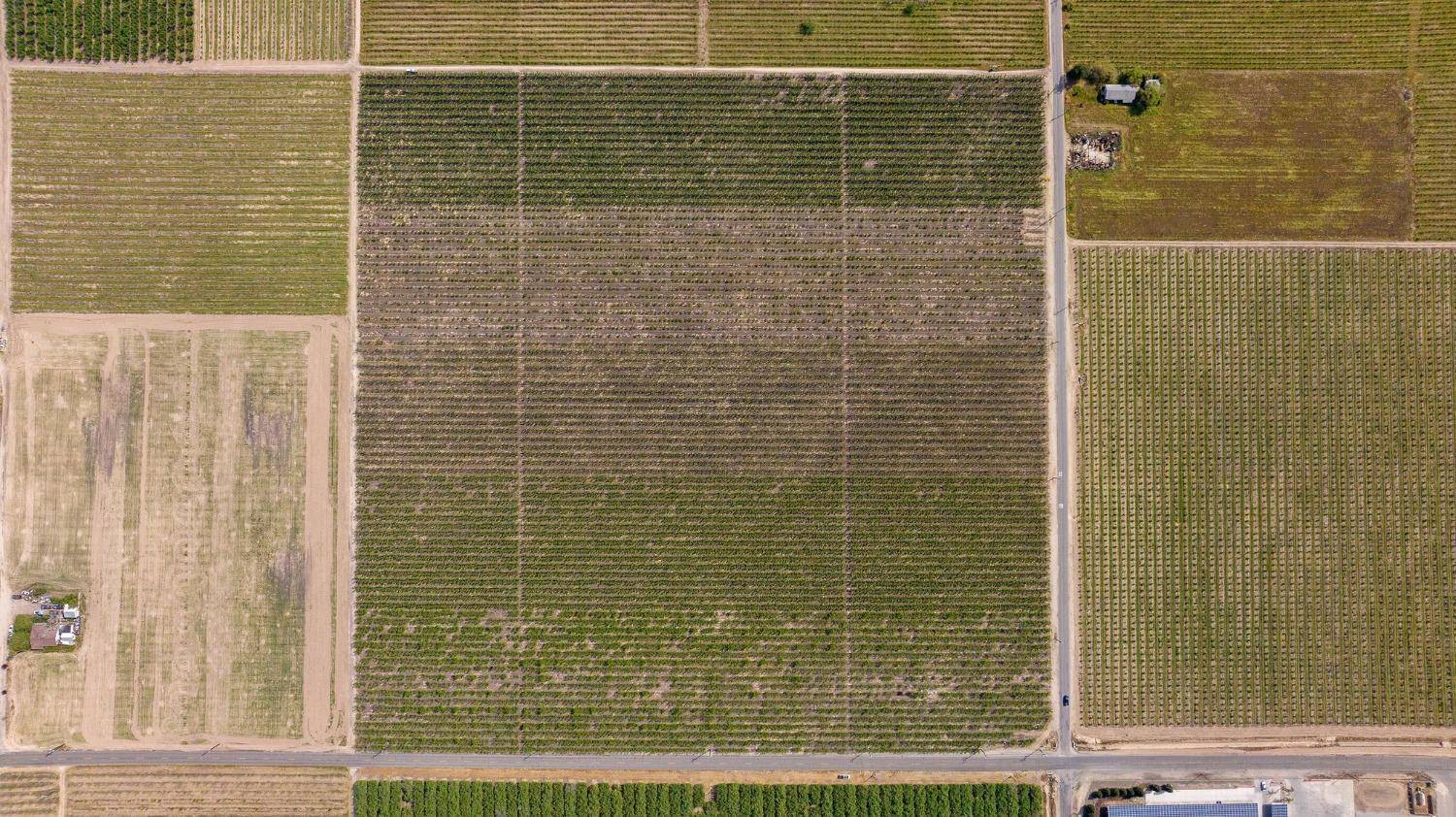 Kingsburg, CA 93631,16152 S Bethel AVE