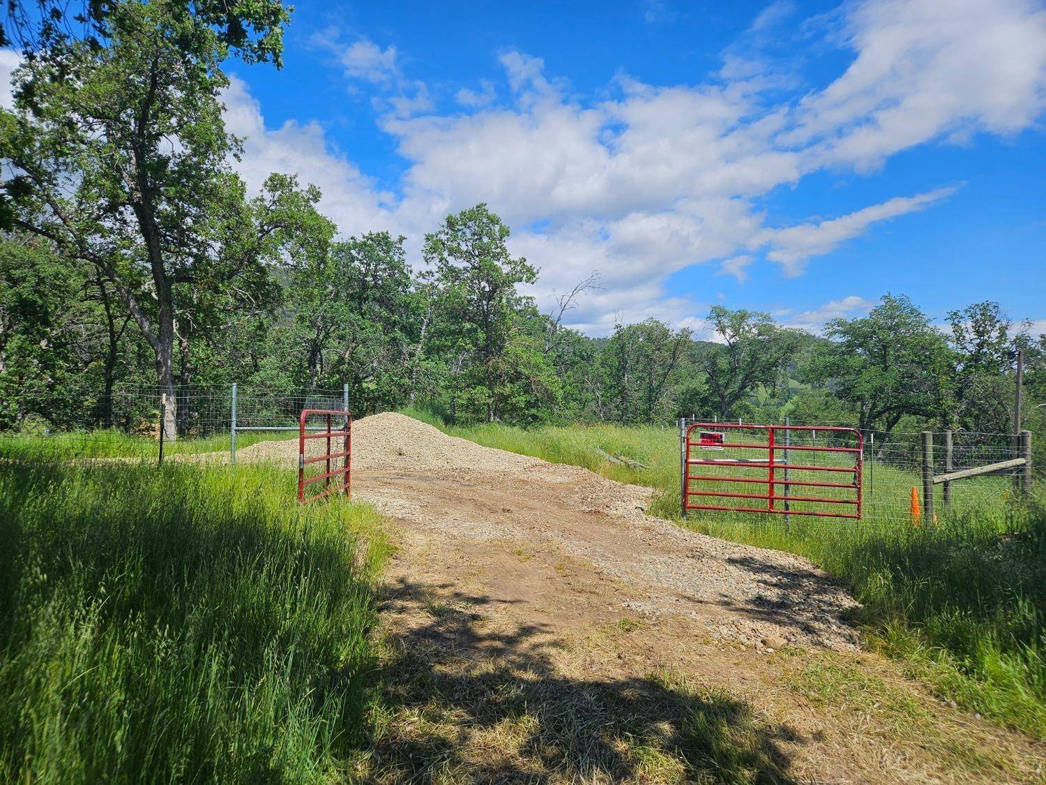 Tollhouse, CA 93667,29296 S Forty Ranch LN