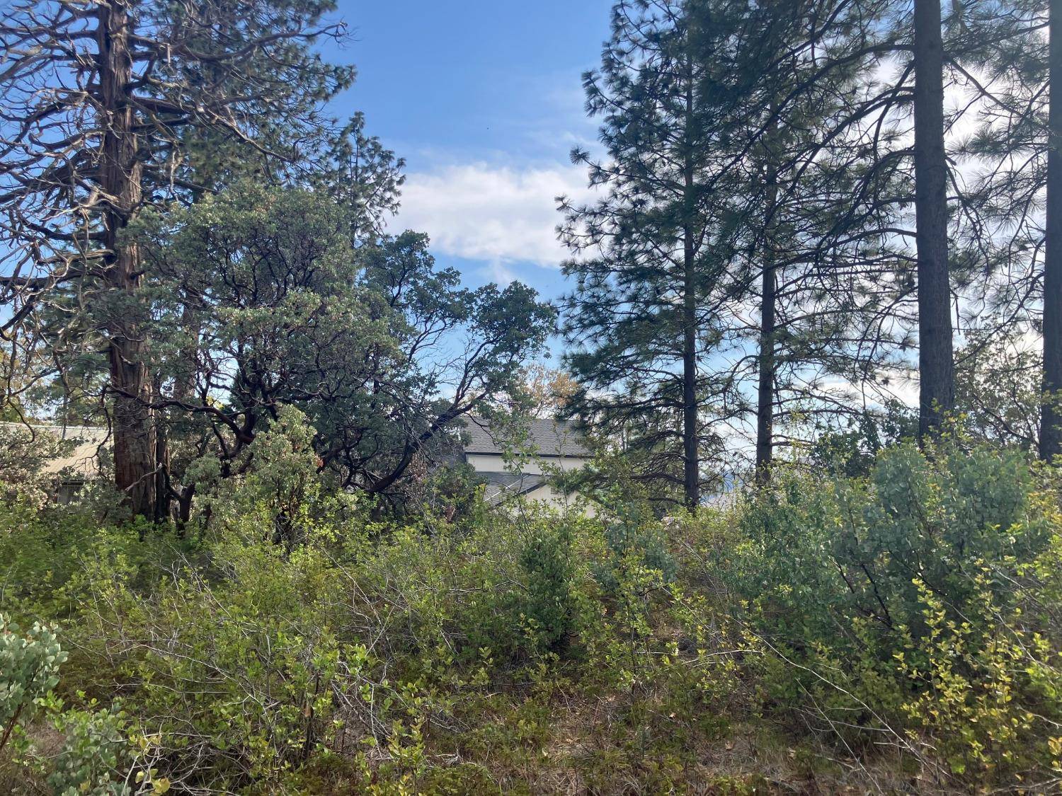 Auberry, CA 93602,34259 Elk LN