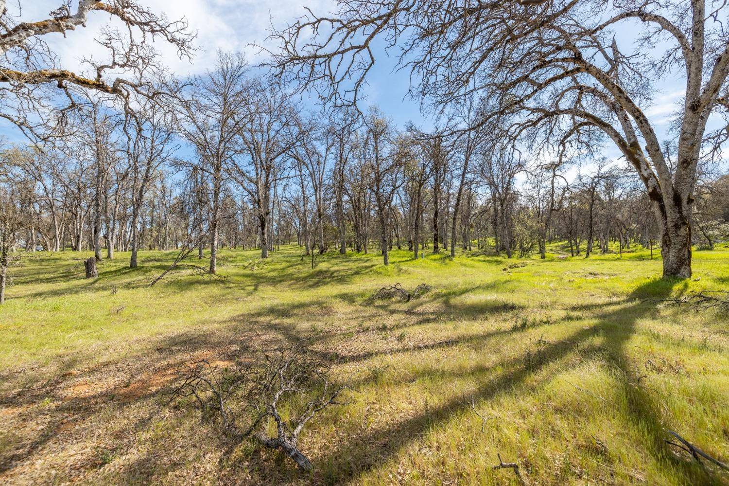 Mariposa, CA 95338,5328 E Whitlock RD