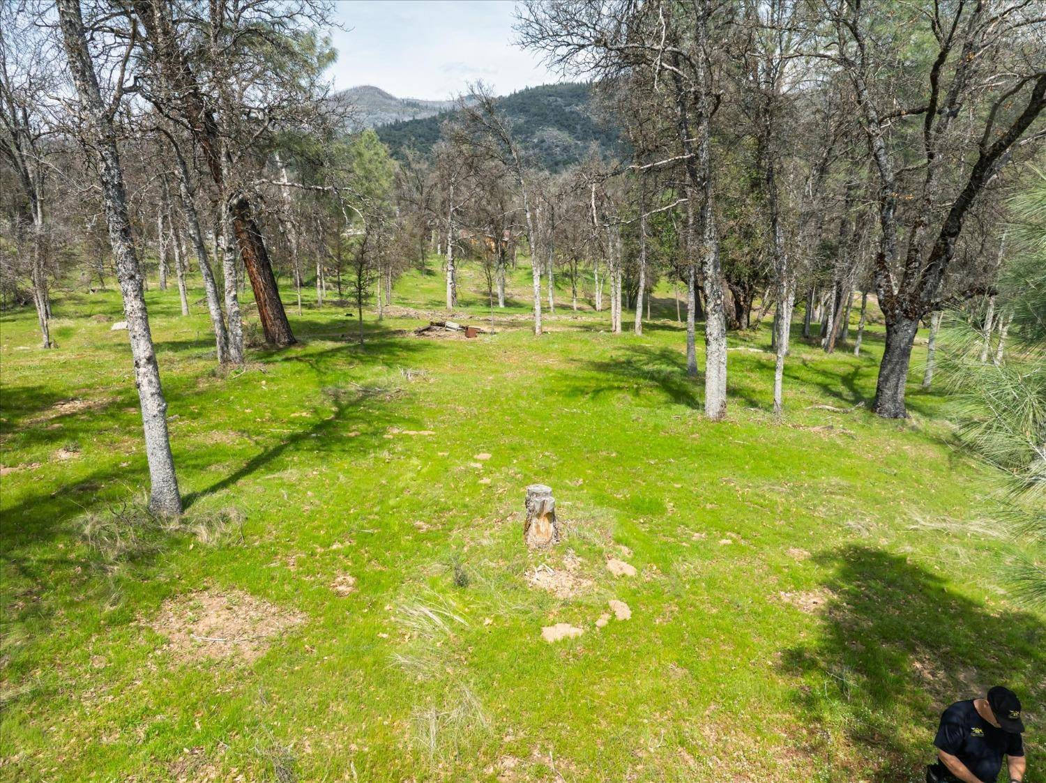 Oakhurst, CA 93644,1 Springwood CT