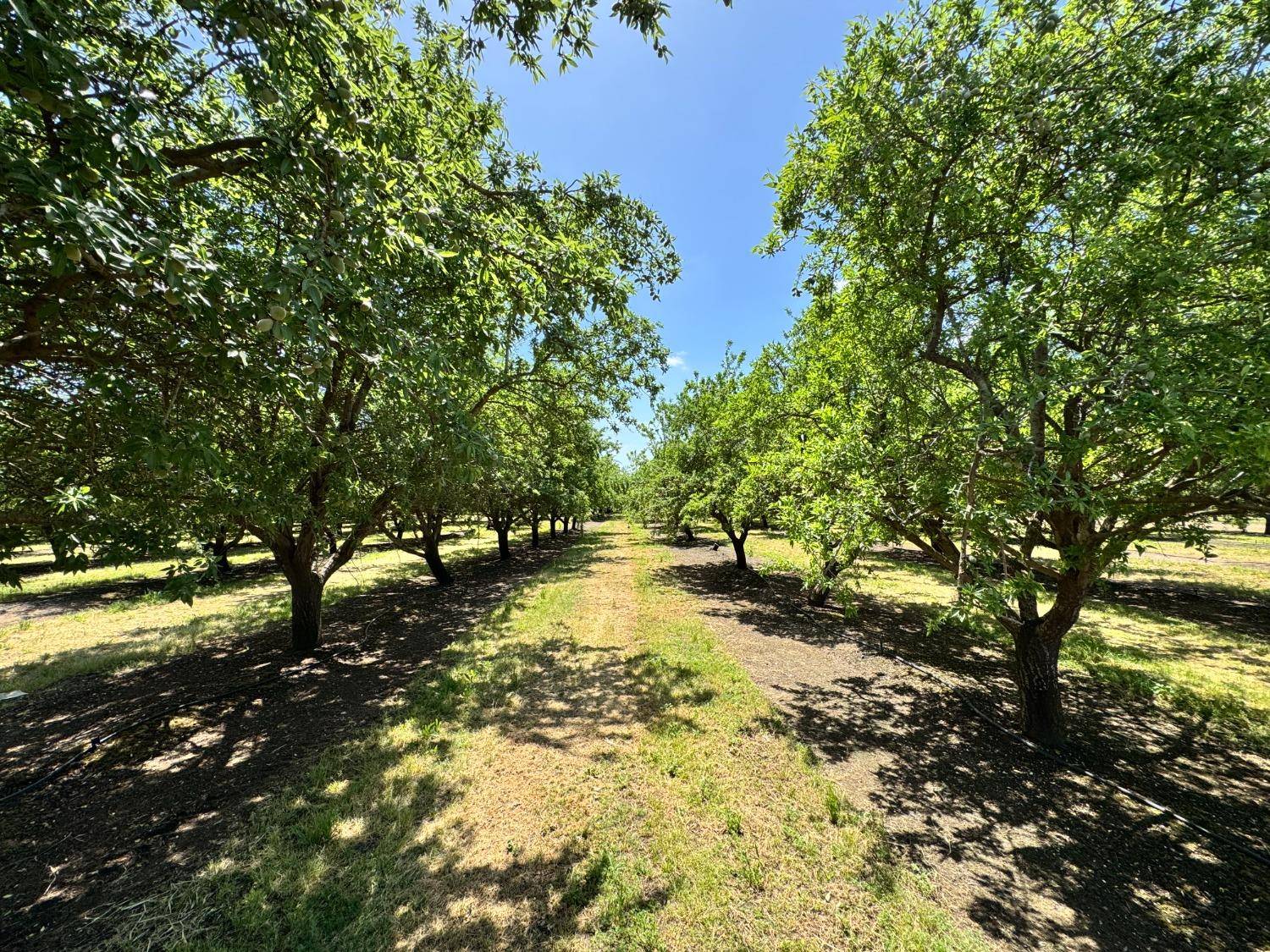 Planada, CA 95340,0 E Childs AVE