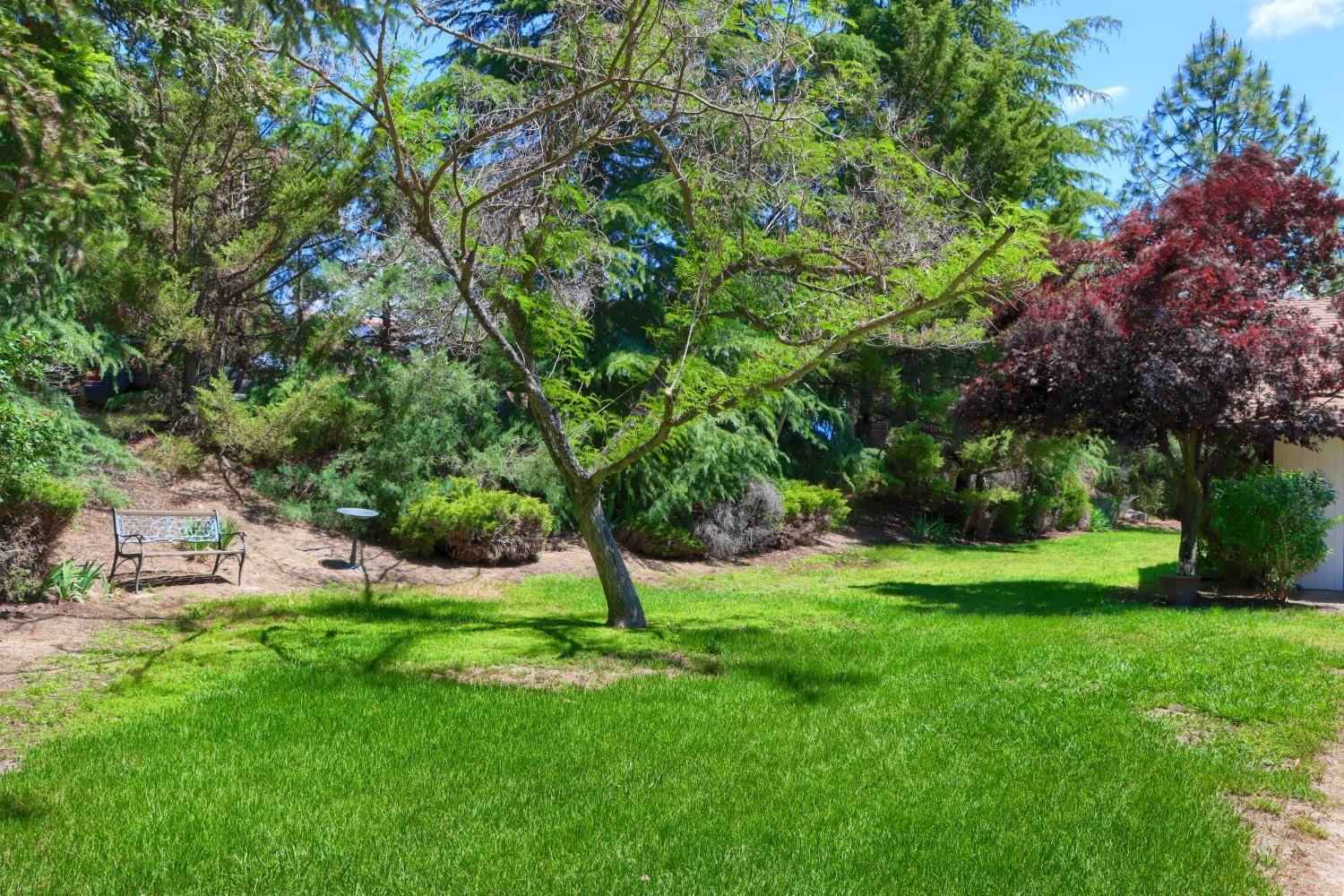 Ahwahnee, CA 93601,42177 Lone Olive LN