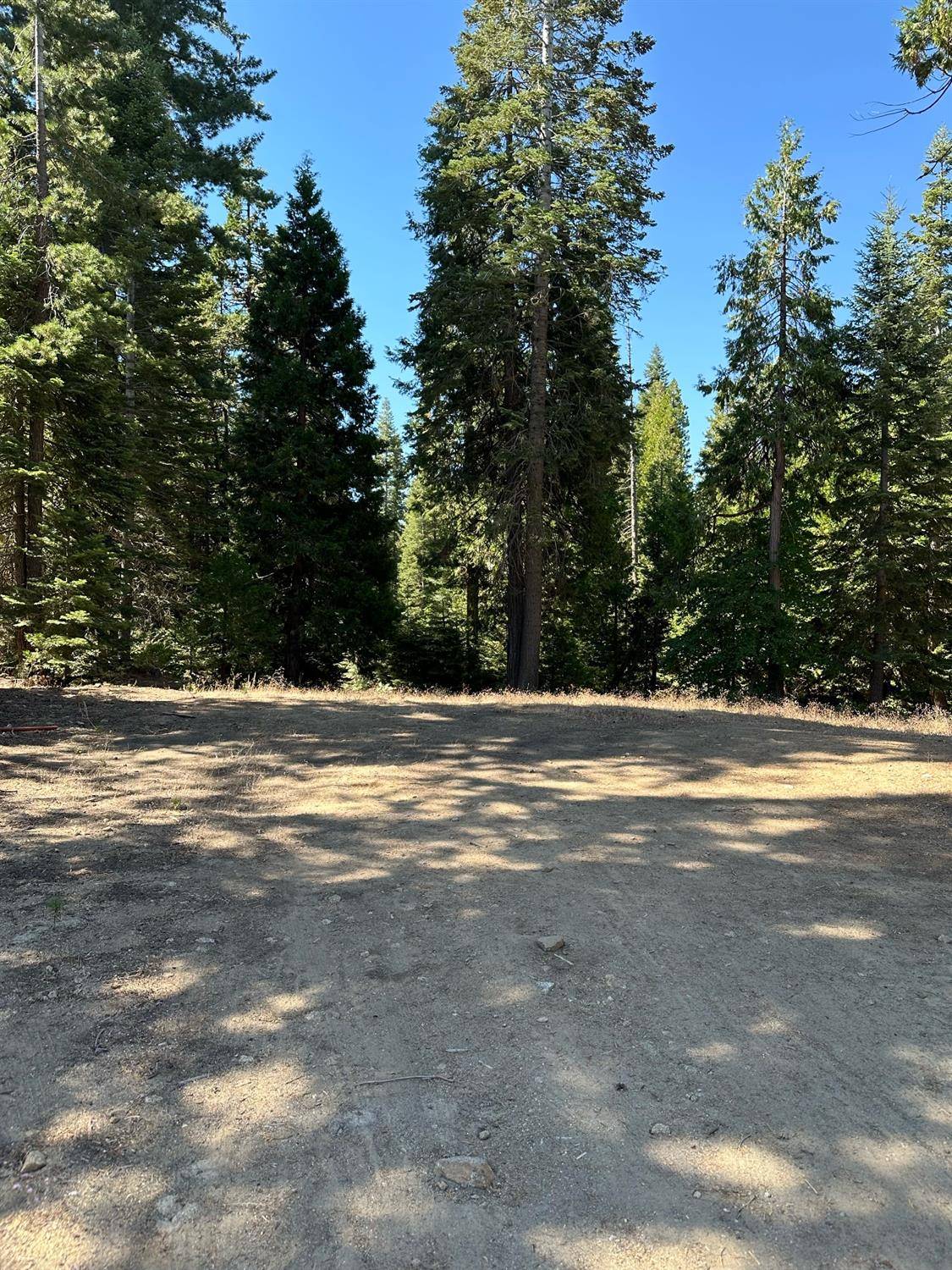 Shaver Lake, CA 93664,21 Foxglove Lane