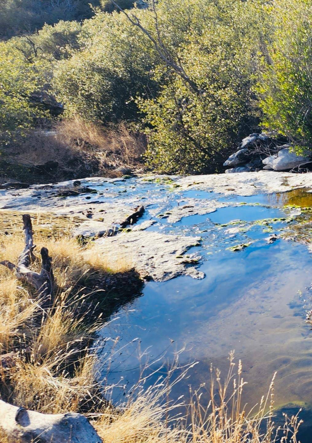 O Neals, CA 93645,0 Flying O Ranch RD