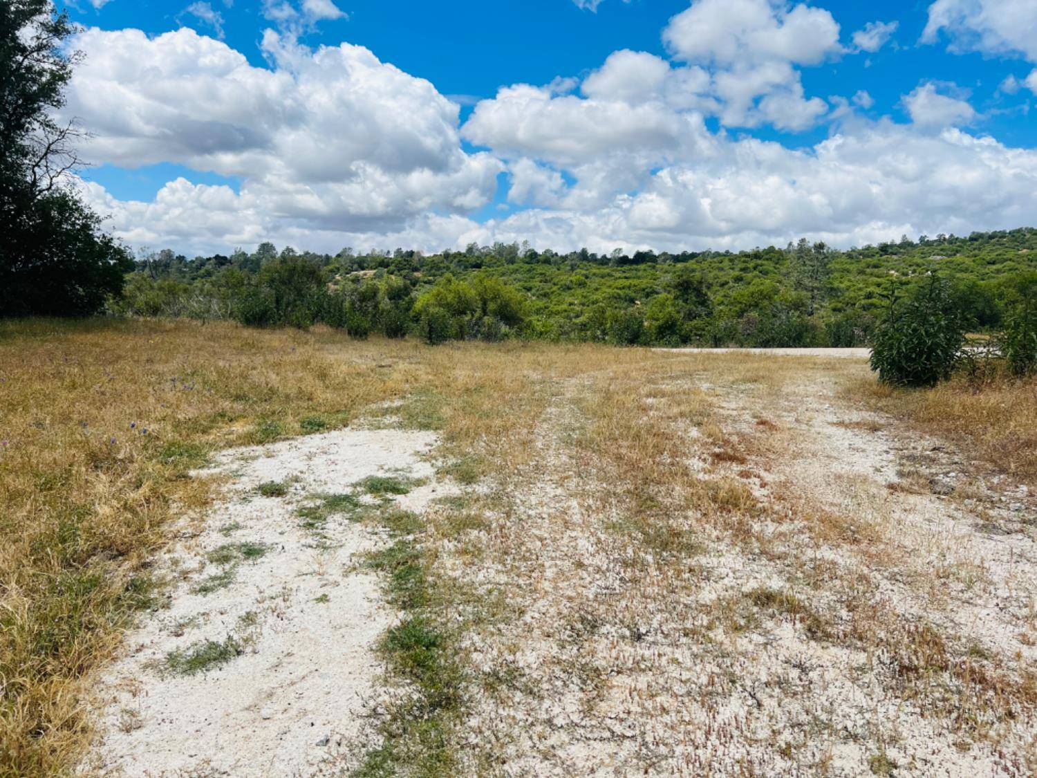 O Neals, CA 93645,0 Flying O Ranch RD