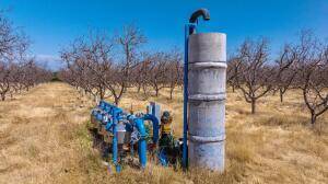 Ivanhoe, CA 93235,320 Ave