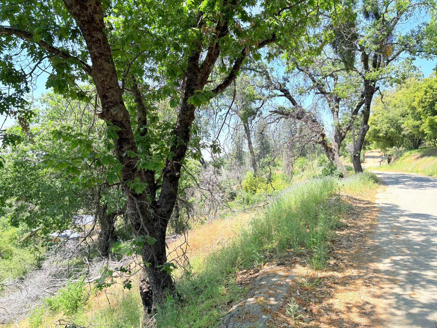 Auberry, CA 93602,38113 Peterson RD