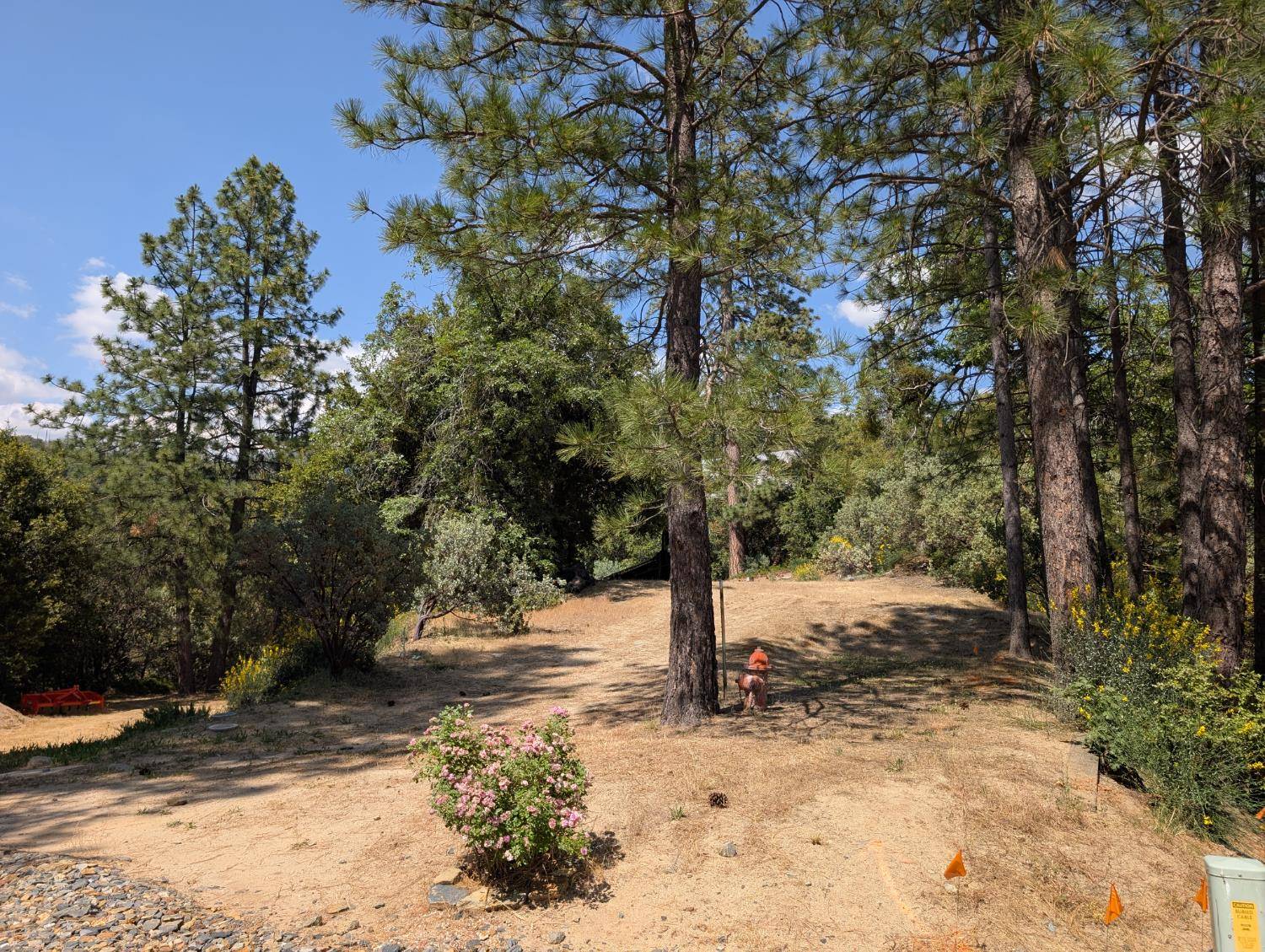 Bass Lake, CA 93604,29 Road 274