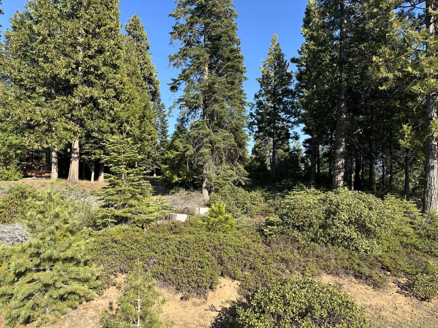 Shaver Lake, CA 93664,42307 Cook Cabin LN