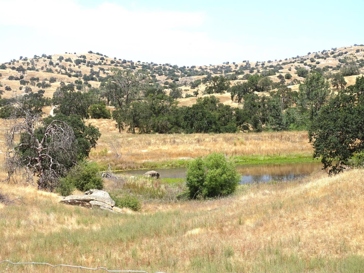 Madera, CA 93636,1 Millstream LN