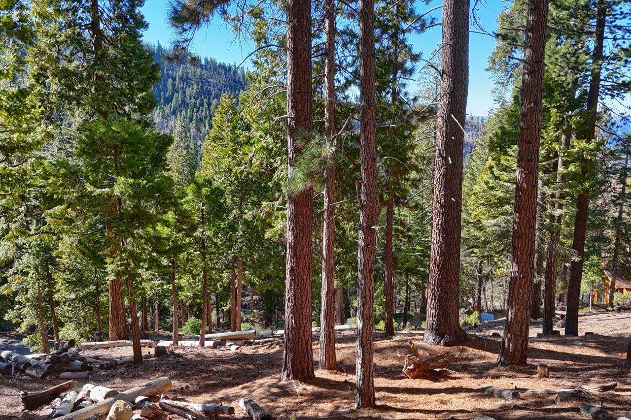 Yosemite West, CA 95389,7349 Yosemite Park WAY