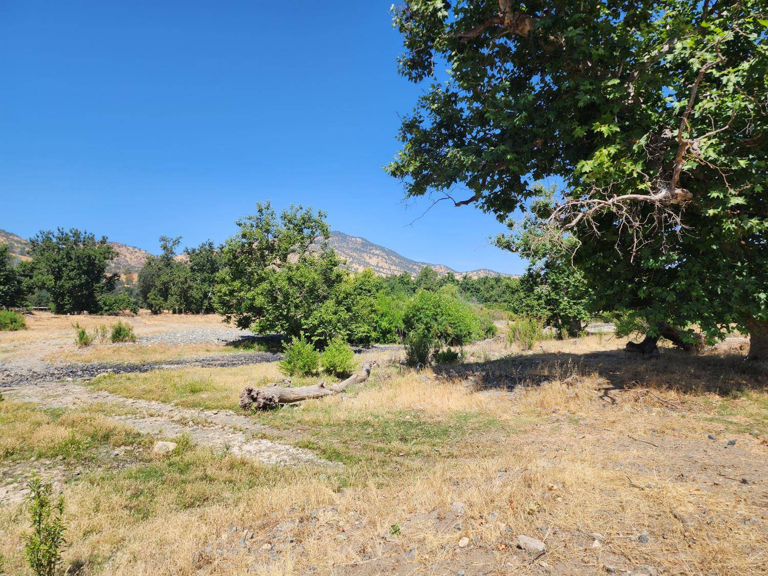 Sanger, CA 93657,10 Live Oak Dr Tbd