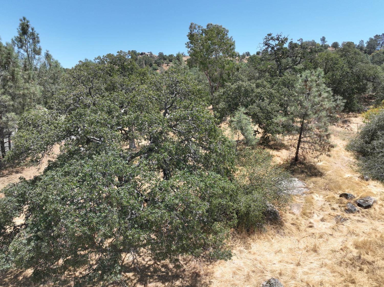 Coarsegold, CA 93614,1806 Sentinel DR