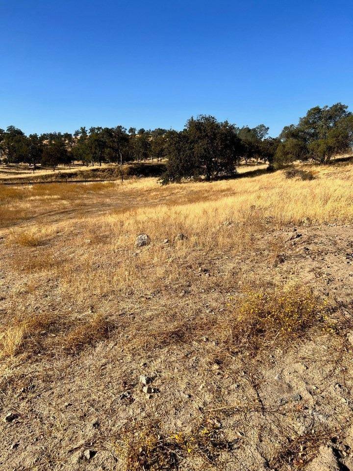 O Neals, CA 93645,0 Sunflower LN