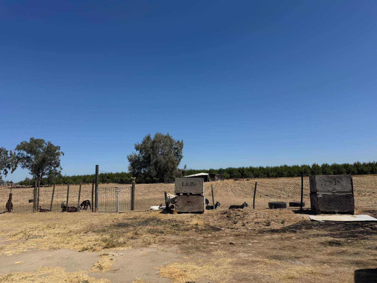 Kerman, CA 93630,19540 W Central AVE