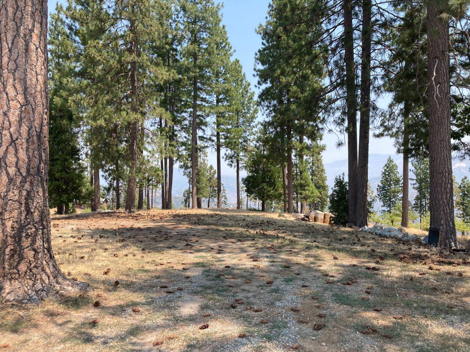 Auberry, CA 93602,43006 Cedar Springs RD