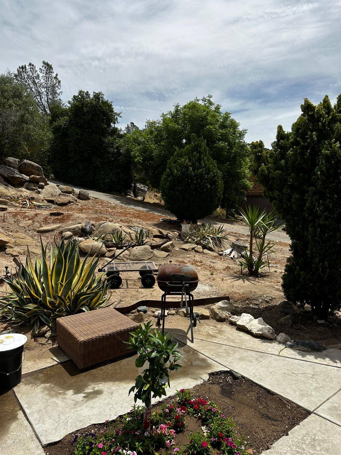 Coarsegold, CA 93614,31076 Hogans Mountain RD