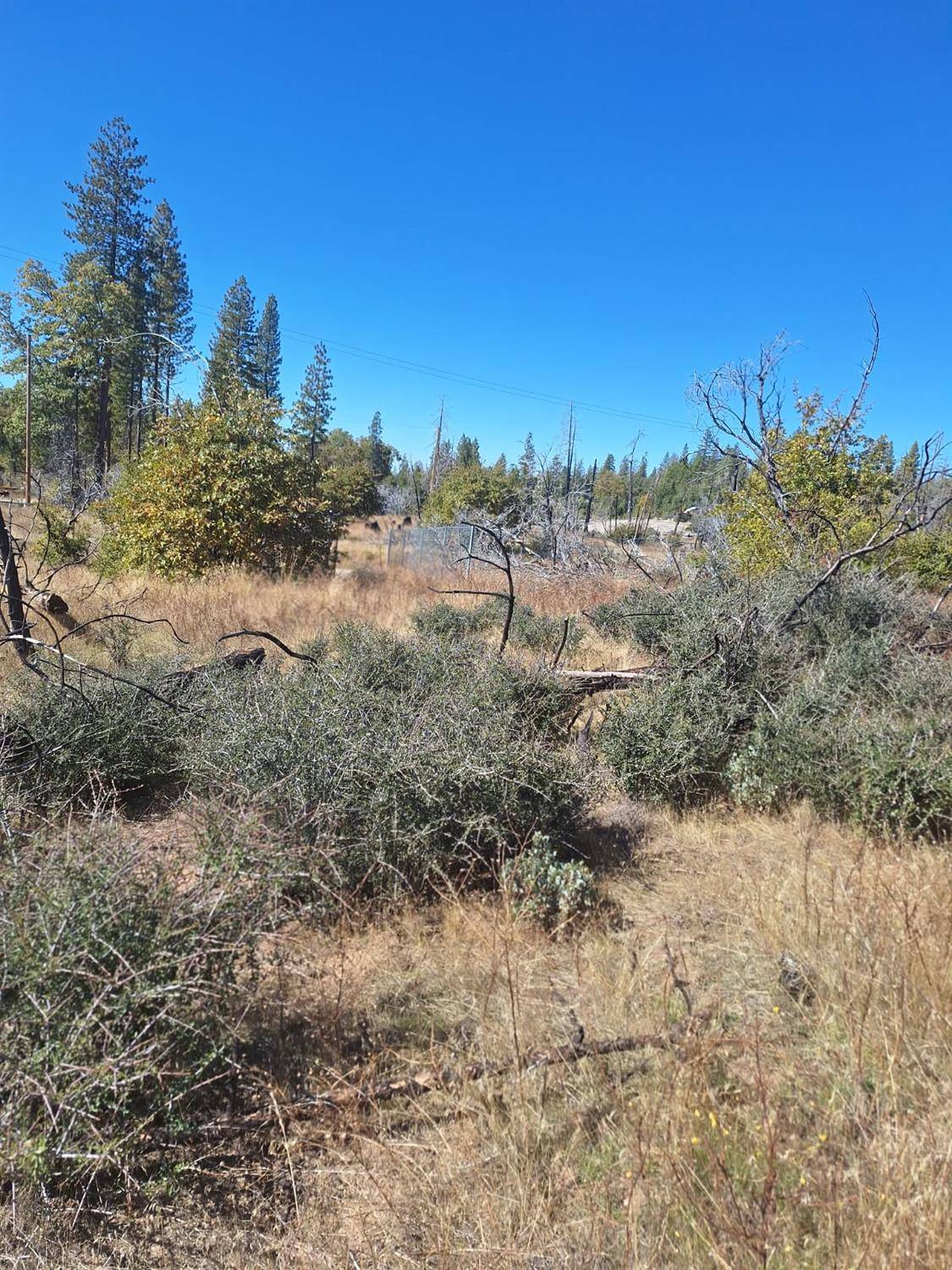 Auberry, CA 93602,42112 Cedar Springs RD