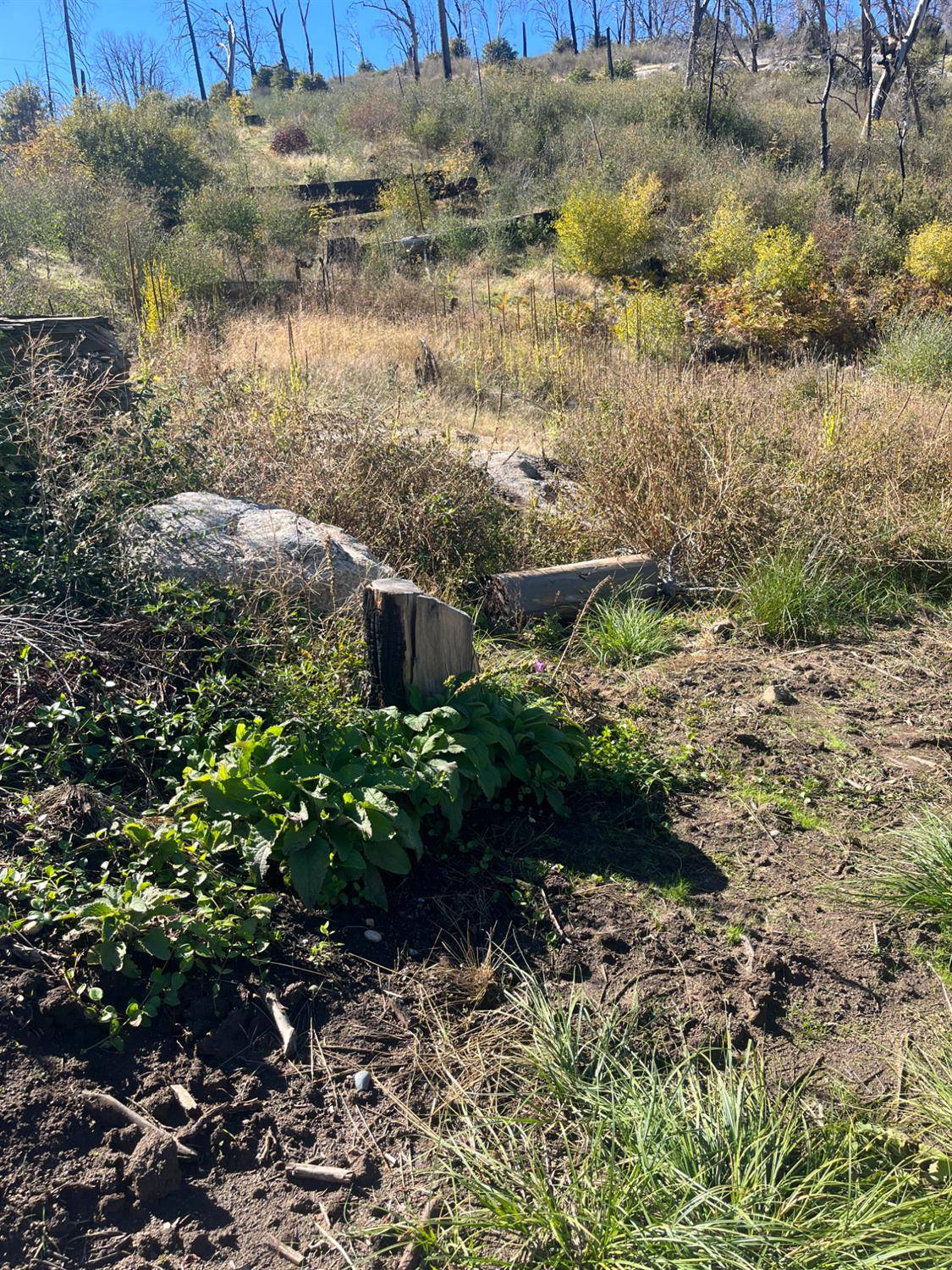 Auberry, CA 93602,43548 Alder Springs RD