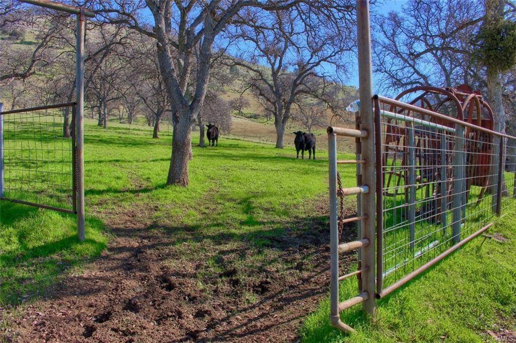 Mariposa, CA 95338,160 Ac Cotton Creek Rd