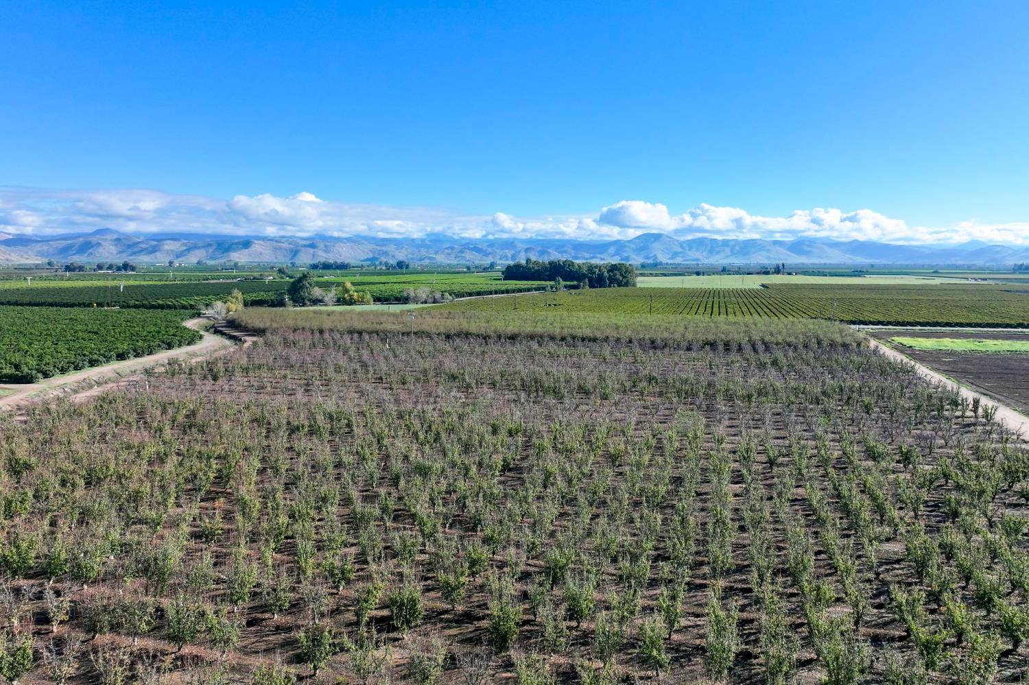 Reedley, CA 93654,0 S Crawford AVE