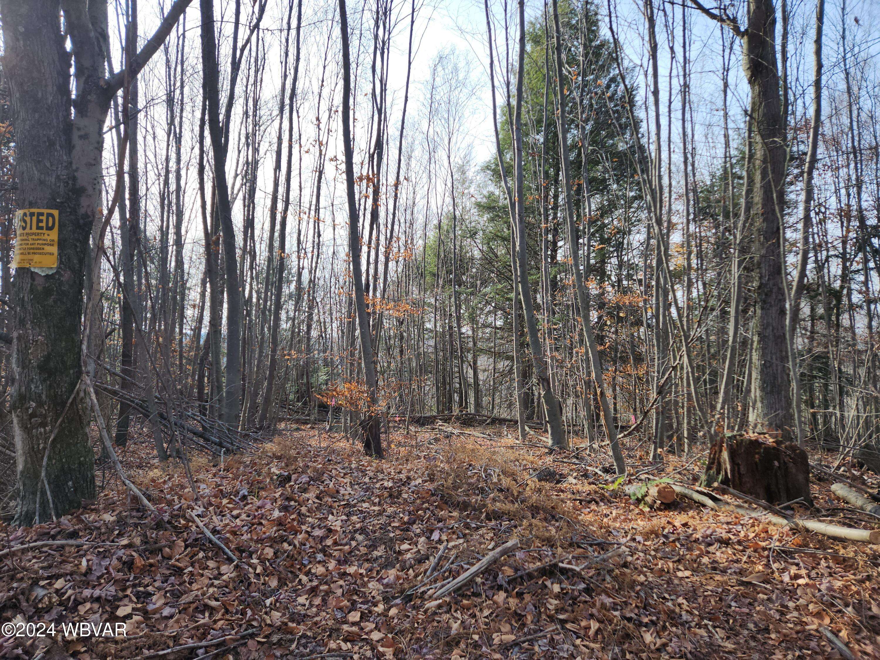 Laporte, PA 18626,POLE BRIDGE RD