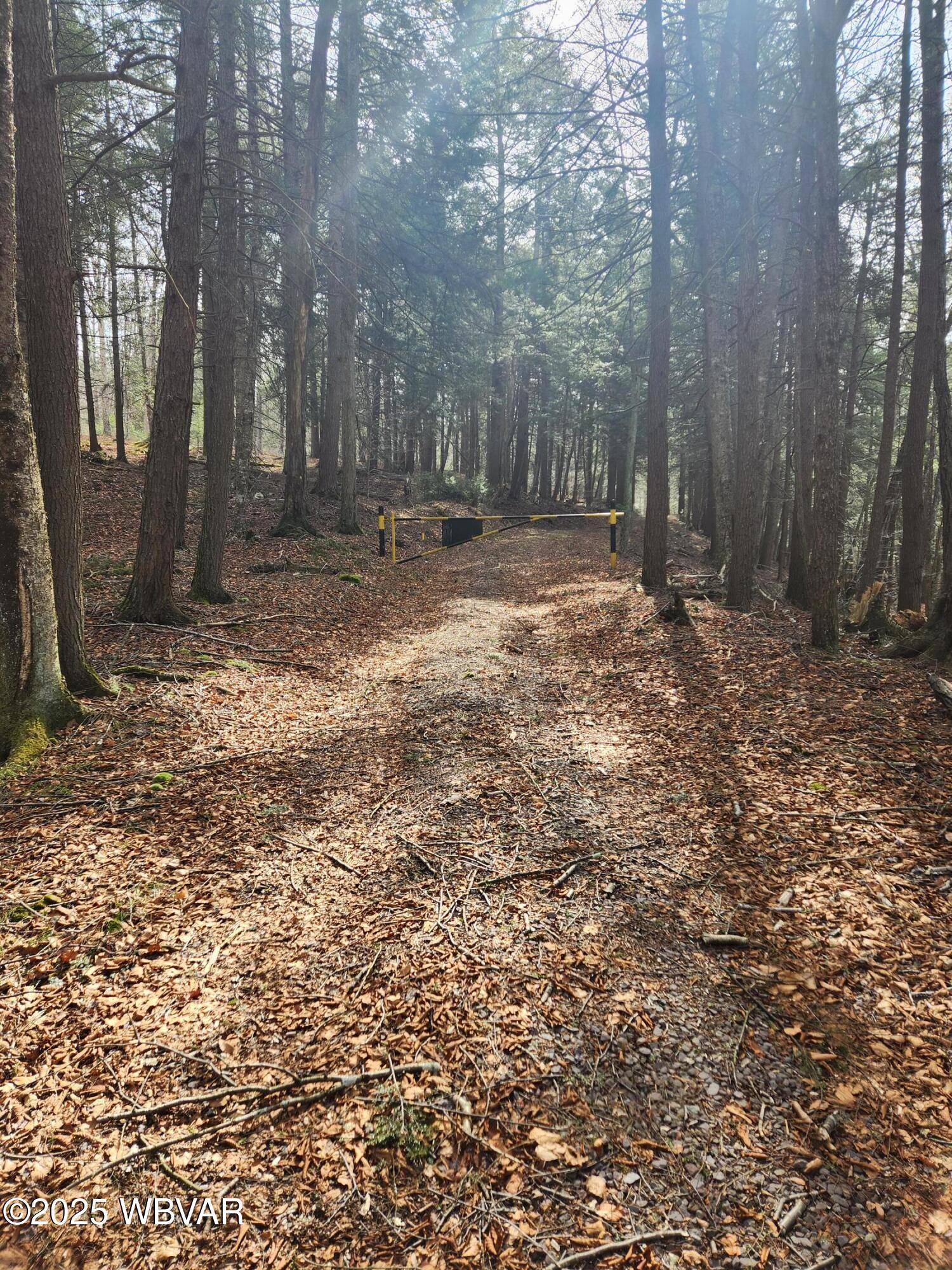 Muncy Valley, PA 17758,2061 BRUNNERDALE RD