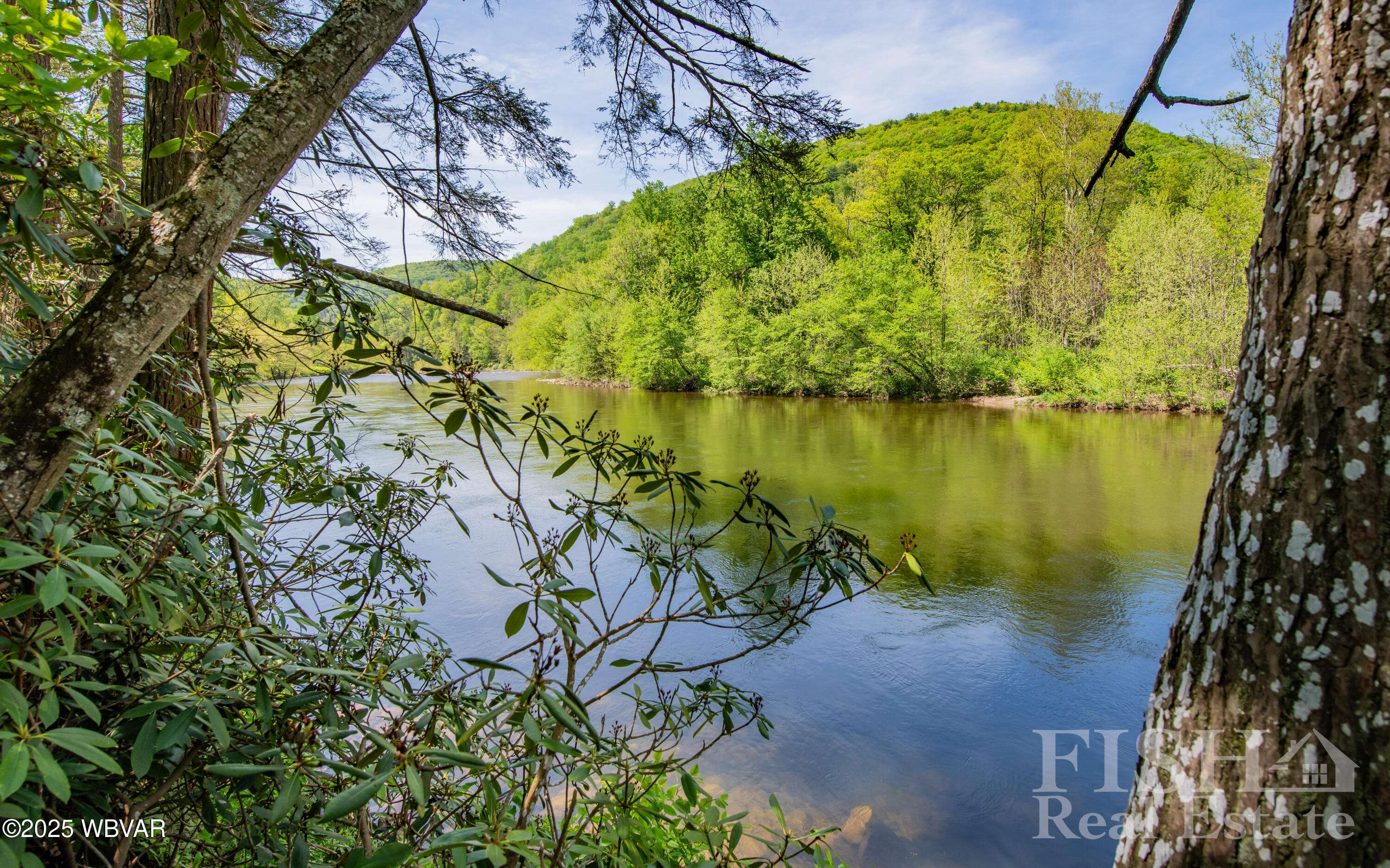 Williamsport, PA 17701,7314 PA-87