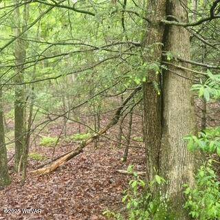 Jersey Shore, PA 17740,LOT 7B HEMLOCK RIDGE RD