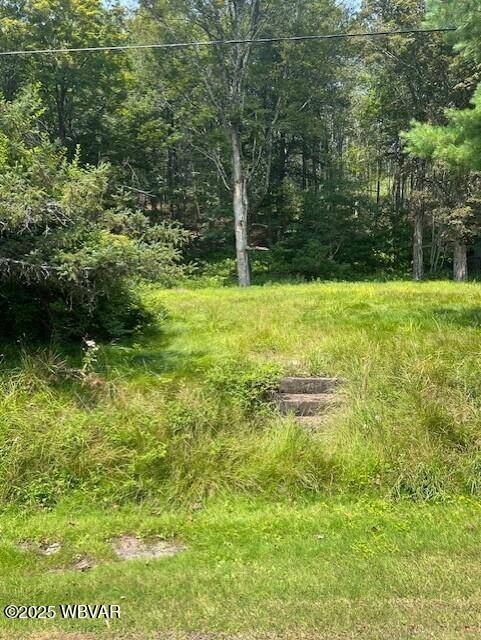 Eagles Mere, PA 17731,375 ALLEGHENY AVE