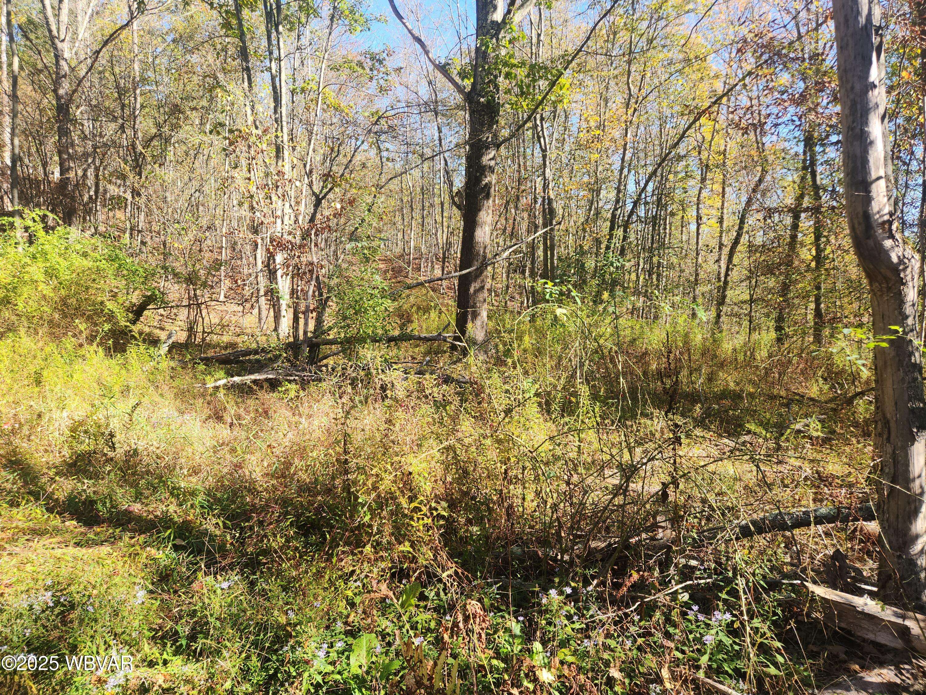 New Albany, PA 18833,2200 OVERTON RD