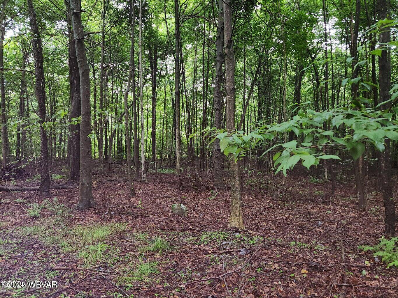 Dushore, PA 18614,LOT 21 ROCKY ROAD LN