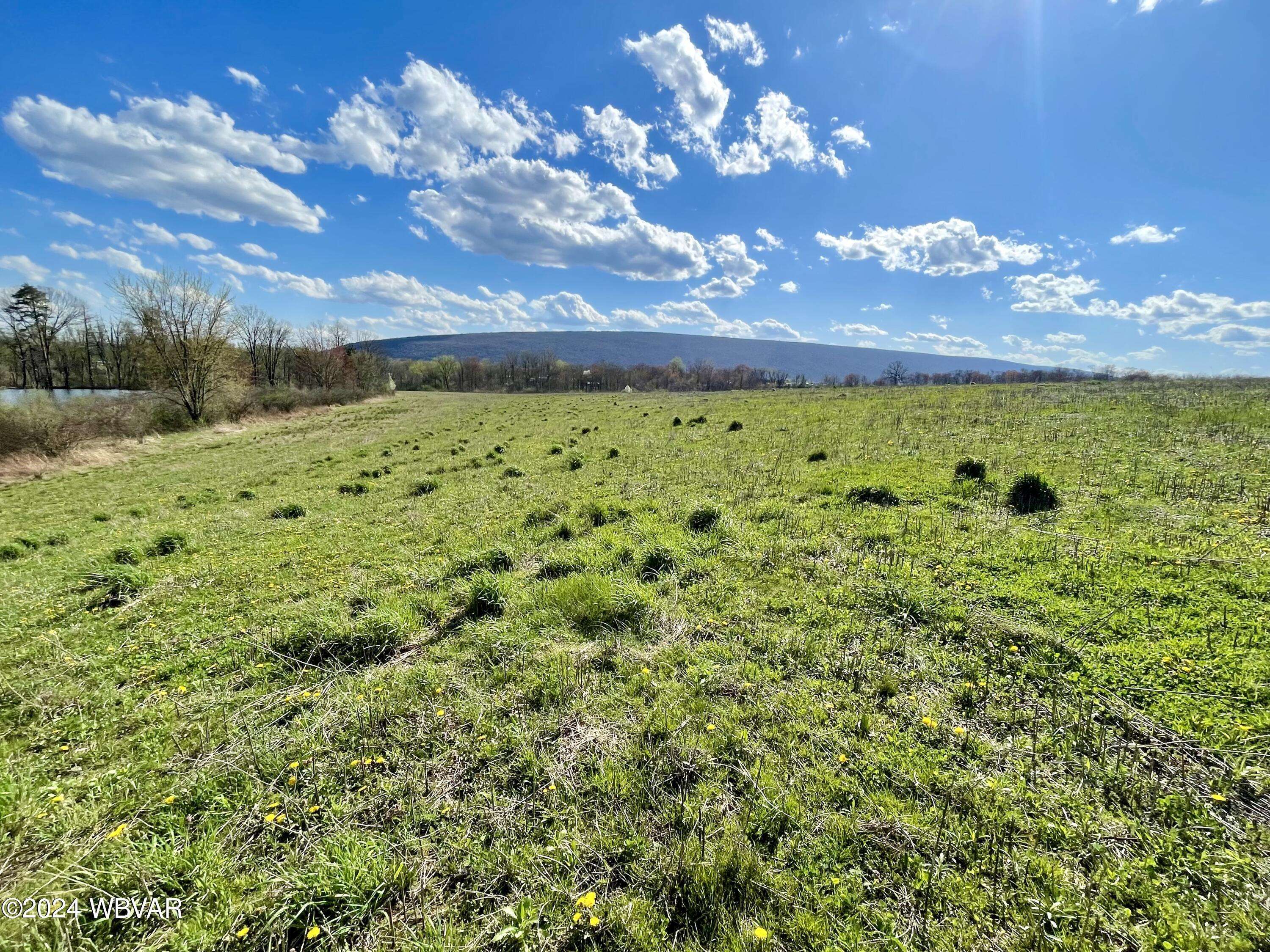 Pennsdale, PA 17756,POND RD