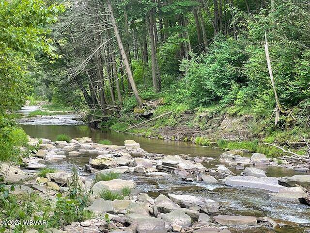 Hillsgrove, PA 18619,49 HOAGLAND BRANCH RD