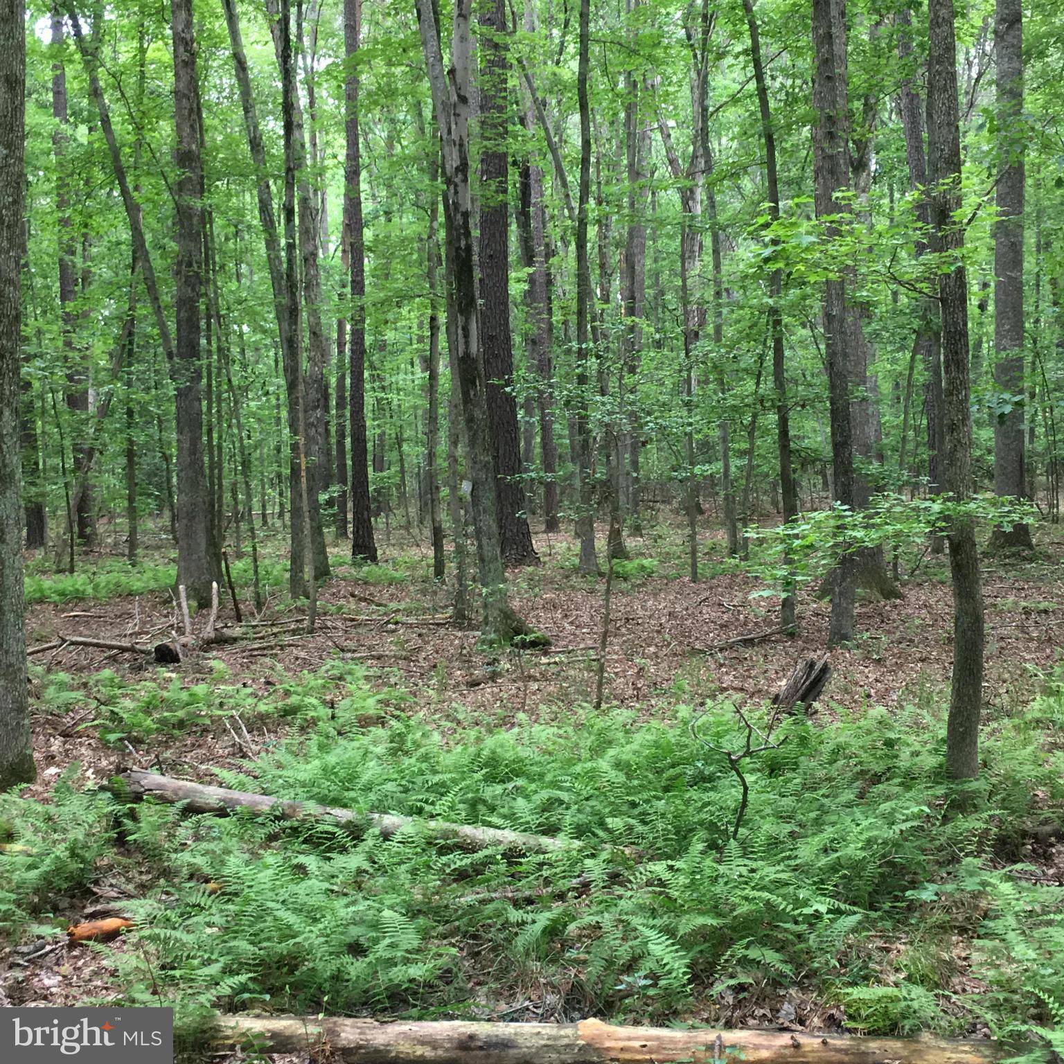 Locust Grove, VA 22508,11401 PARK FARMS LN
