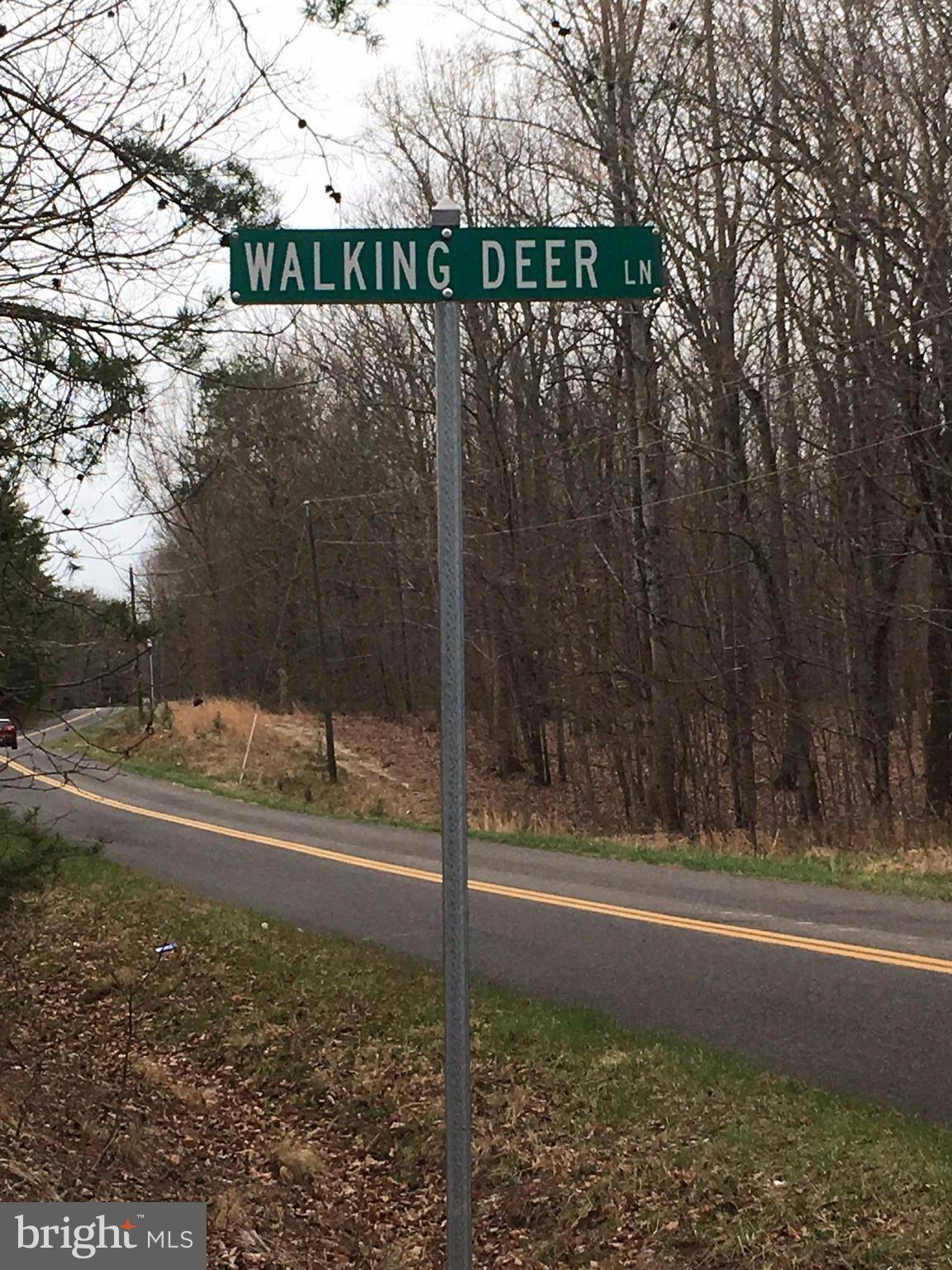 Orange, VA 22960,WALKING DEER LN