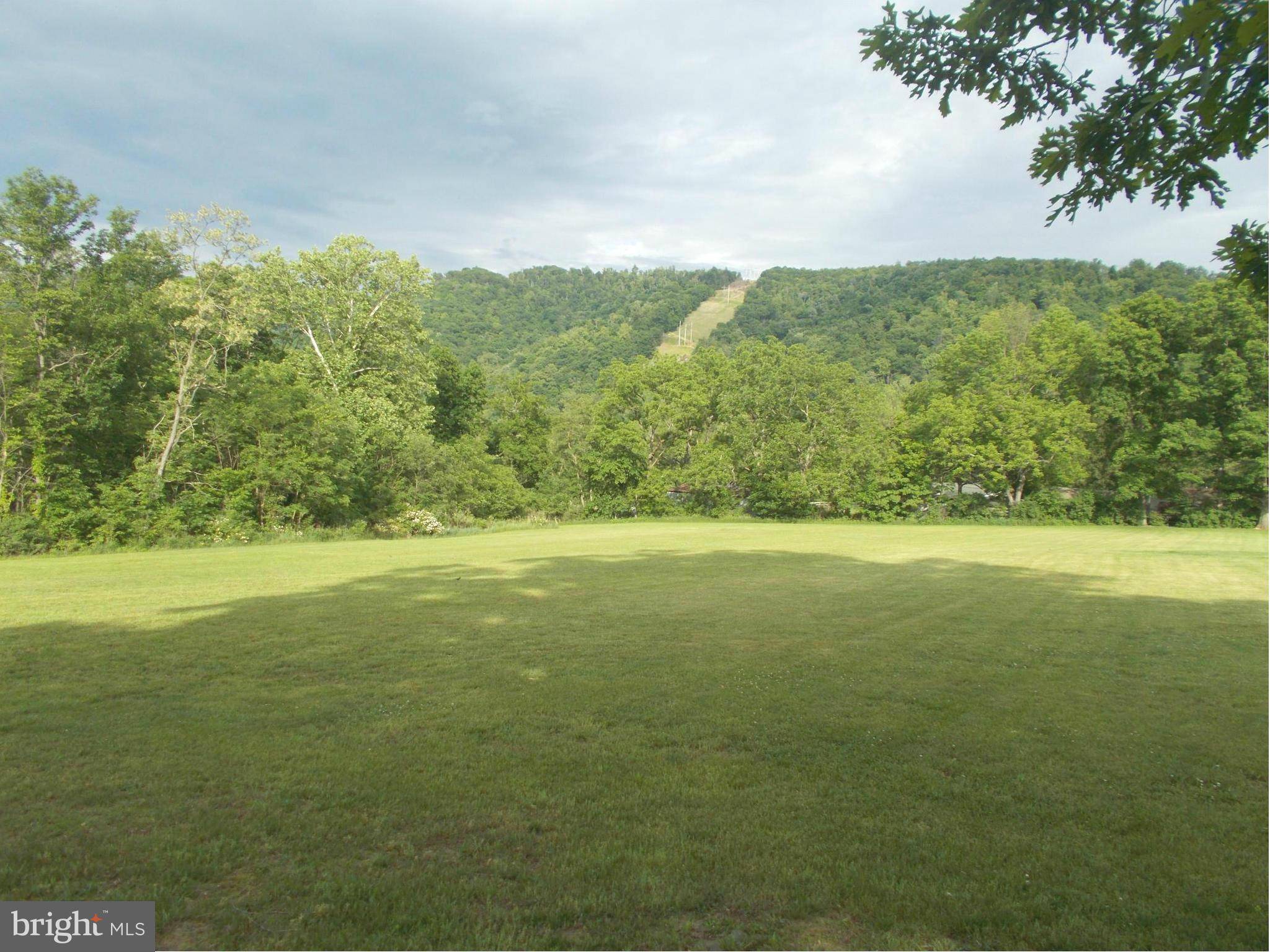 New Creek, WV 26743,TANGLE WOOD LOOP