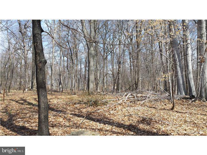 Doylestown, PA 18902,LOT 001 HONEY HOLLOW RD