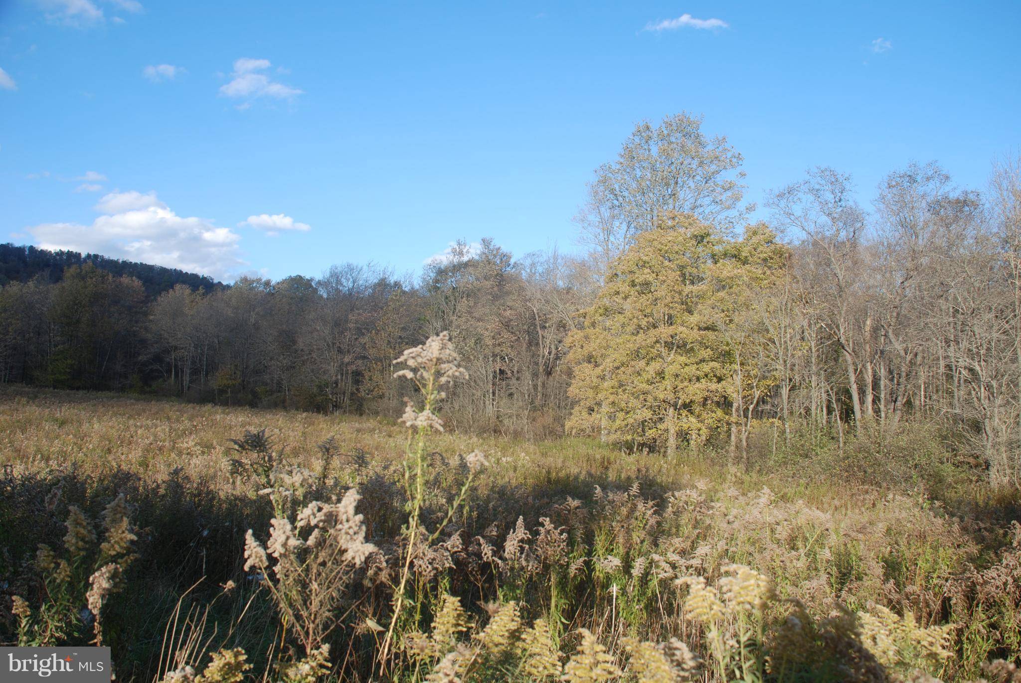 Terra Alta, WV 26764,OAK GROVE CEMETERY