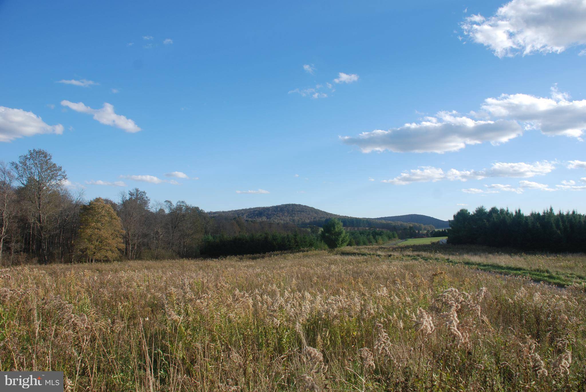 Terra Alta, WV 26764,OAK GROVE CEMETERY