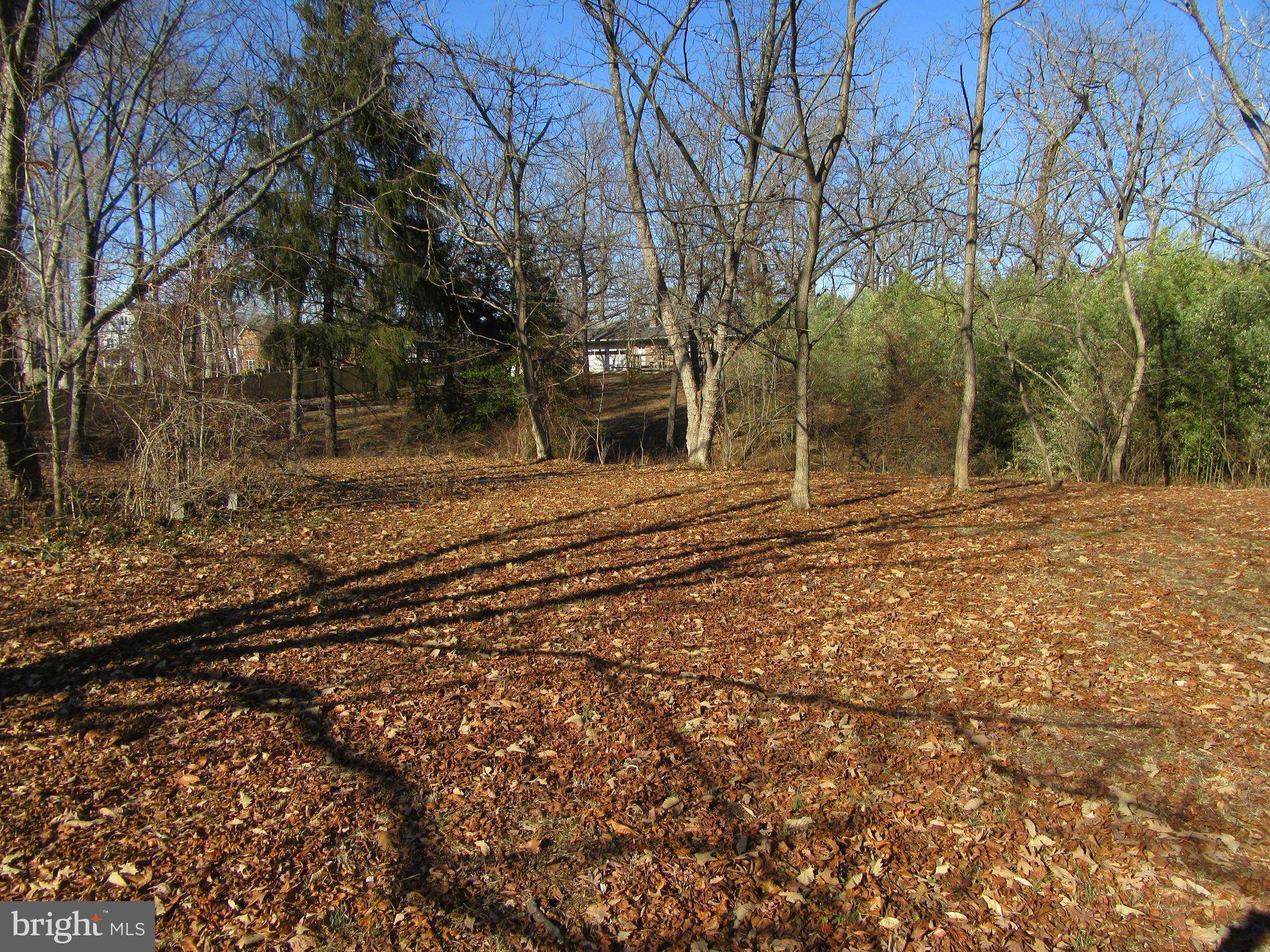 Edgewater, MD 21037,LOT 42 LOCH HAVEN DR