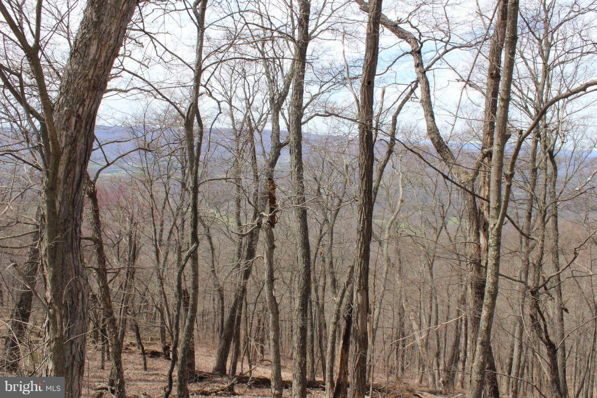 Old Fields, WV 26845,LOT 1 SEC 2 HIGH KNOB RD