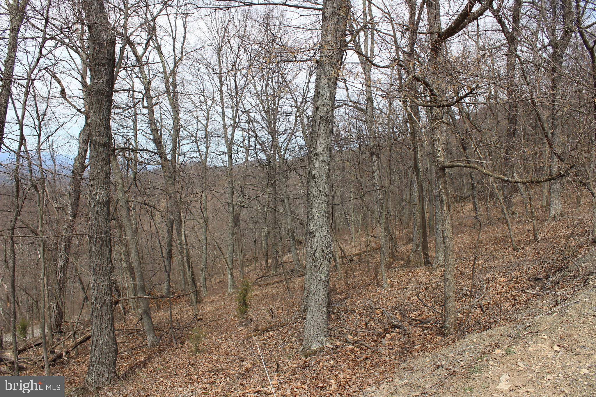 Old Fields, WV 26845,LOT 1 SEC 2 HIGH KNOB RD