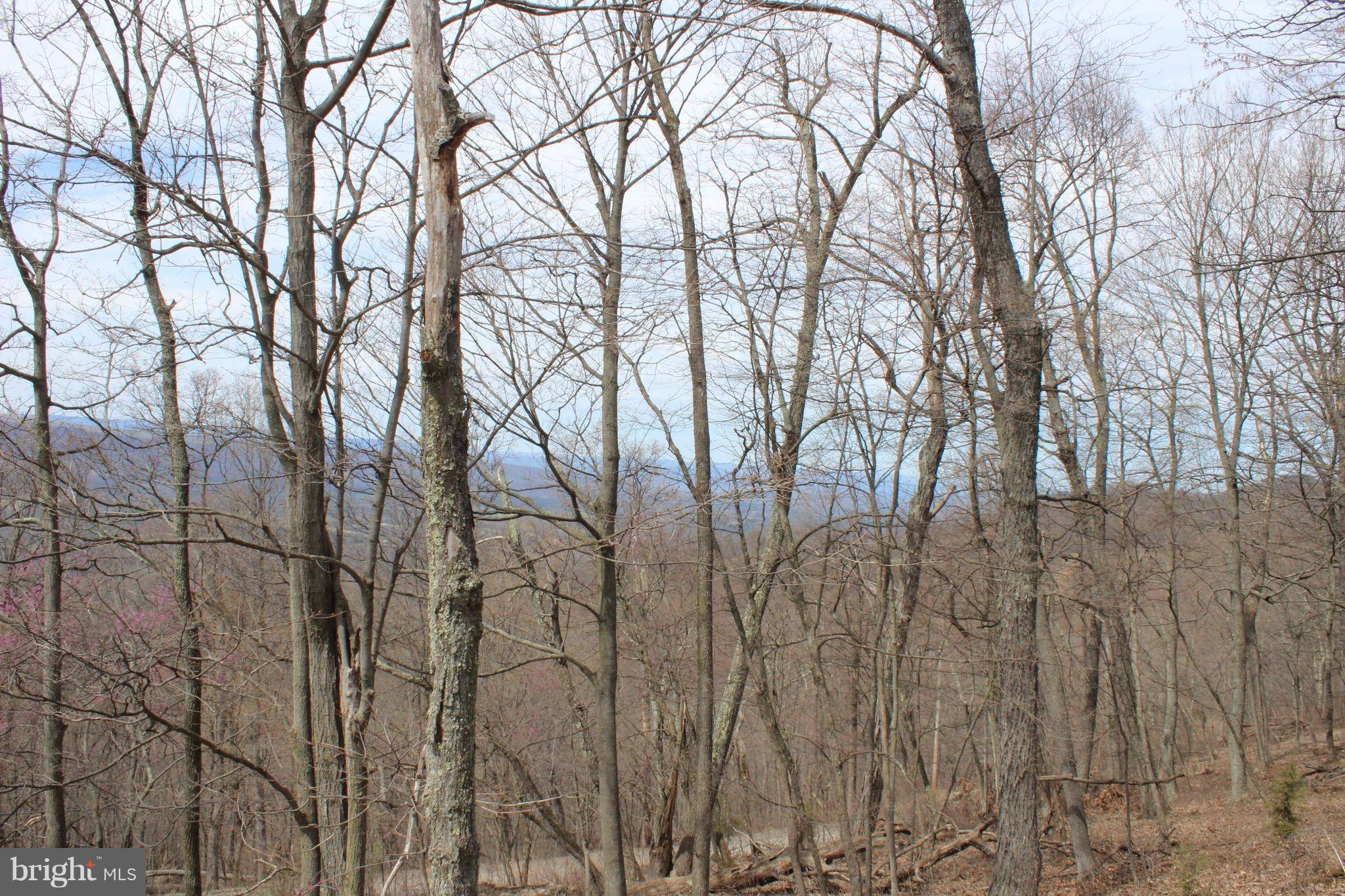 Old Fields, WV 26845,LOT 1 SEC 2 HIGH KNOB RD