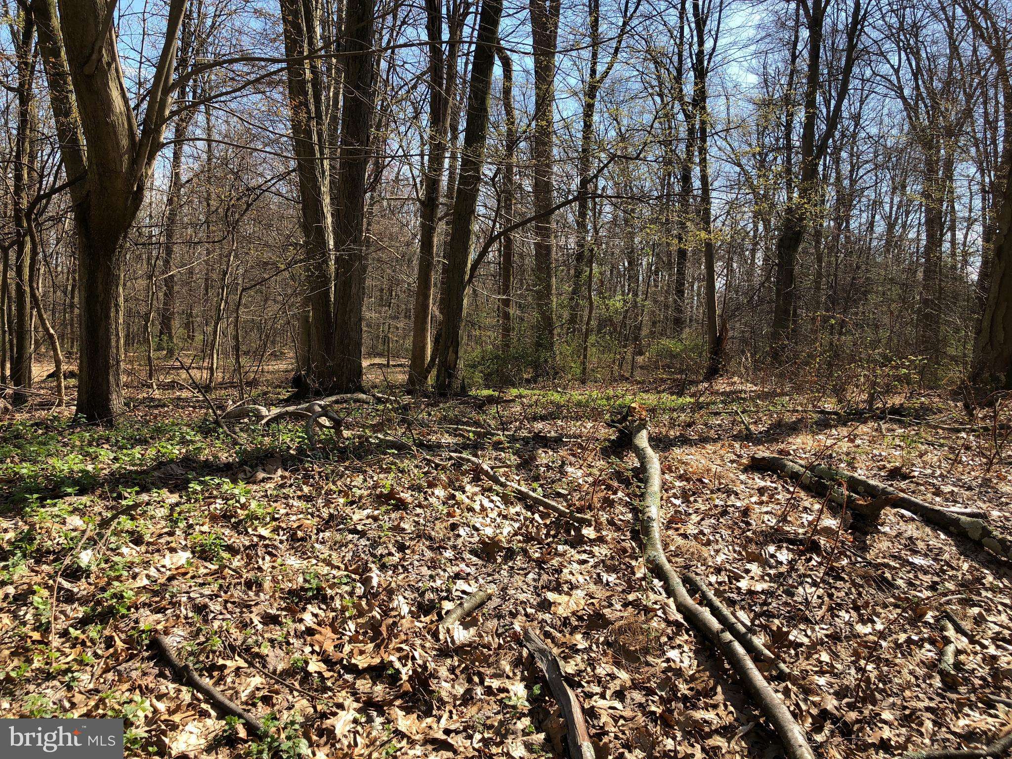 Lebanon, PA 17042,440 OLD MINE RD #LOT 2