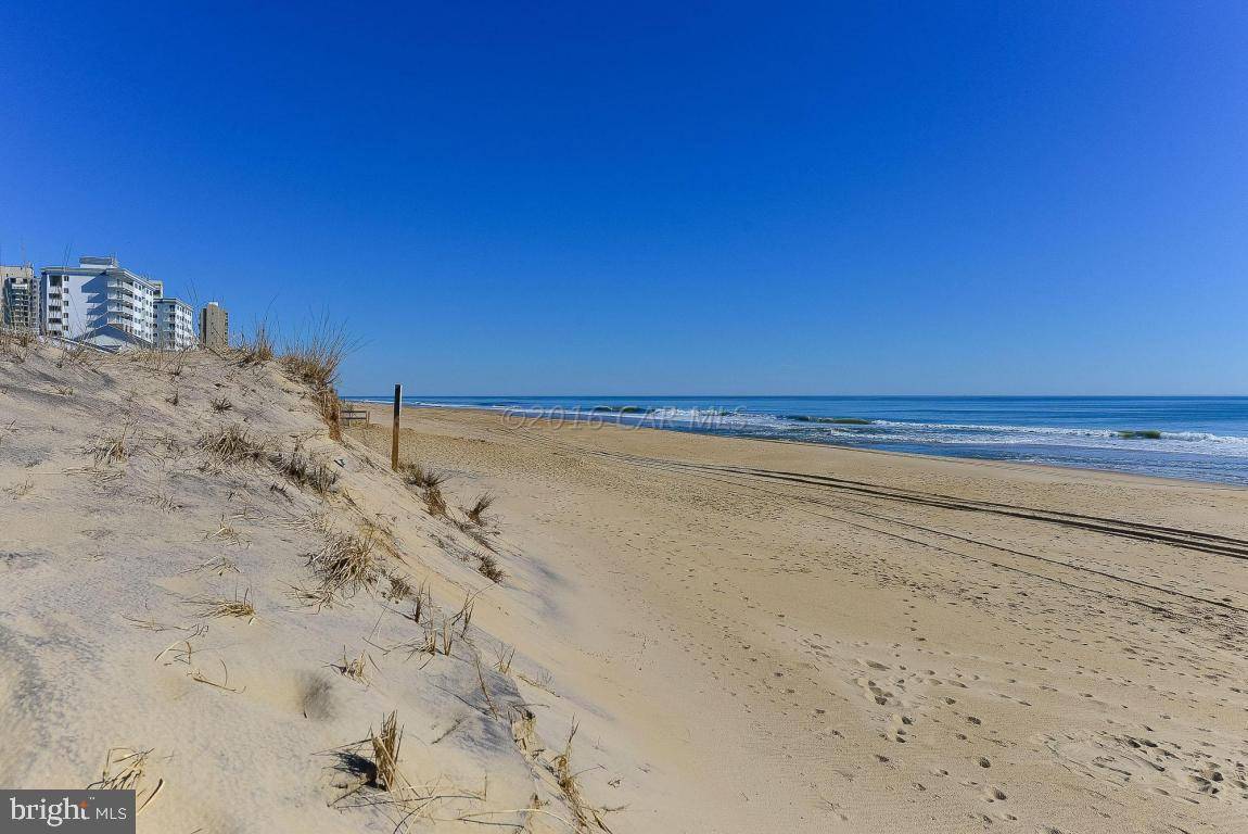 Ocean City, MD 21842,8800 COASTAL HWY #1306