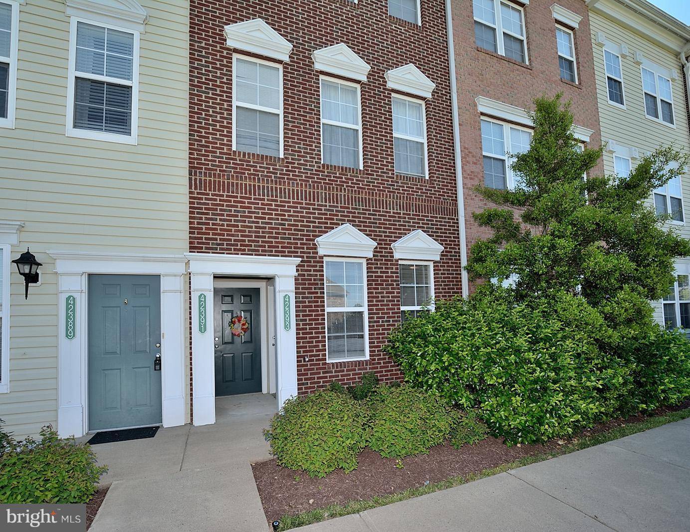 Ashburn, VA 20148,42393 GOLDENSEAL SQ #42393