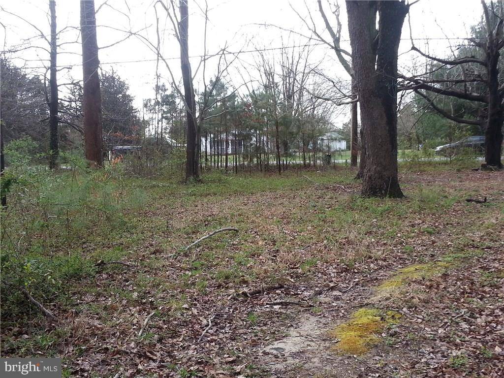 Millsboro, DE 19966,LOT 46 FARM LN