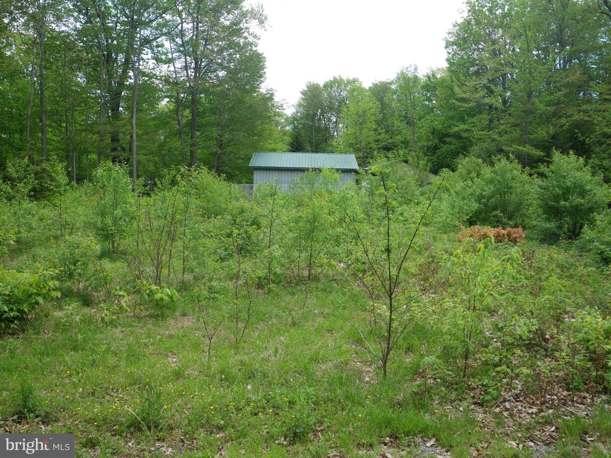 Mount Storm, WV 26739,41 SPRUCE RDG